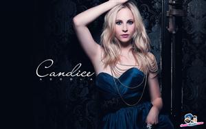 Candice Accola